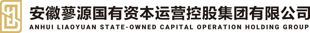 安徽蓼源国有资本运营控股集团有限公司